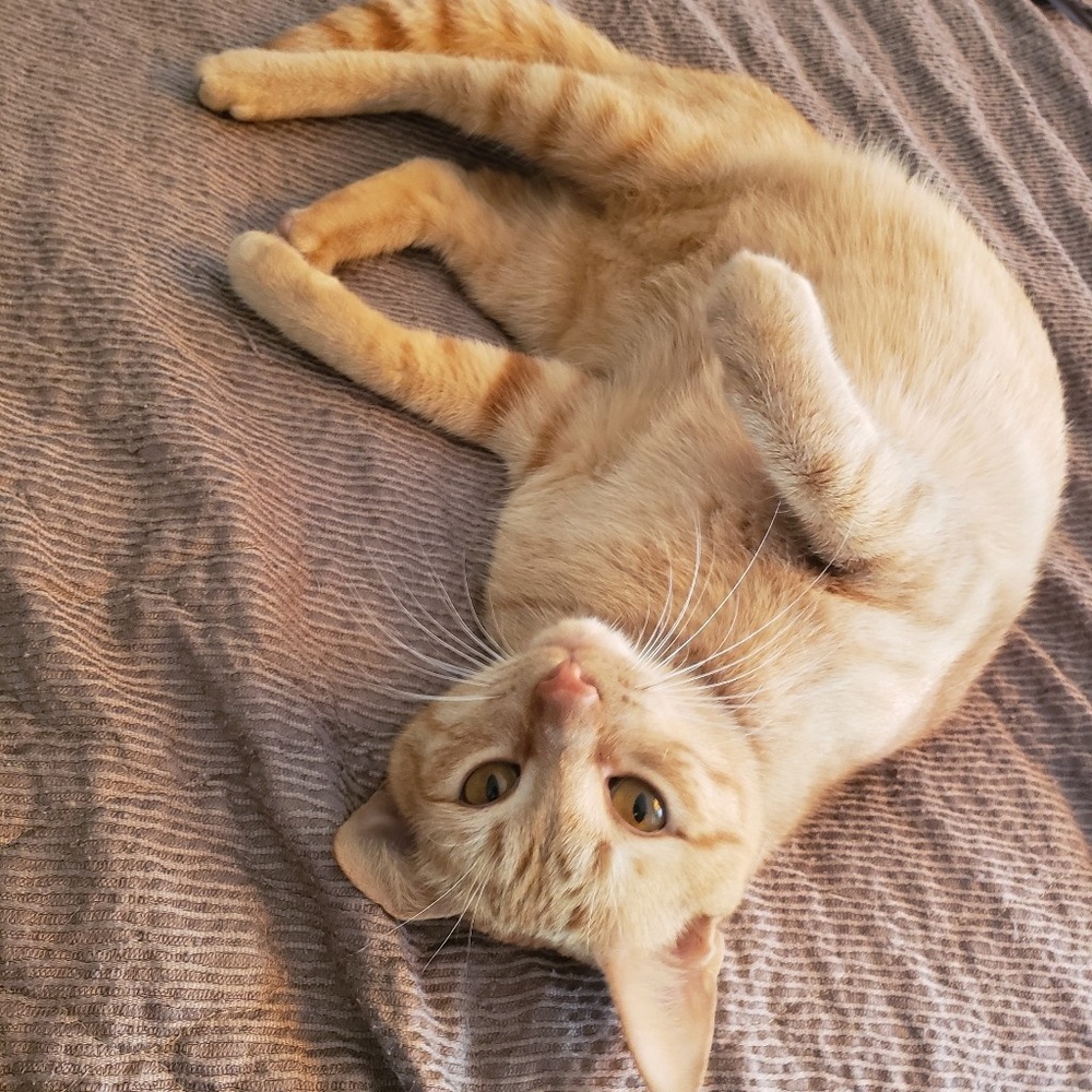 Meet your Posher, Anna